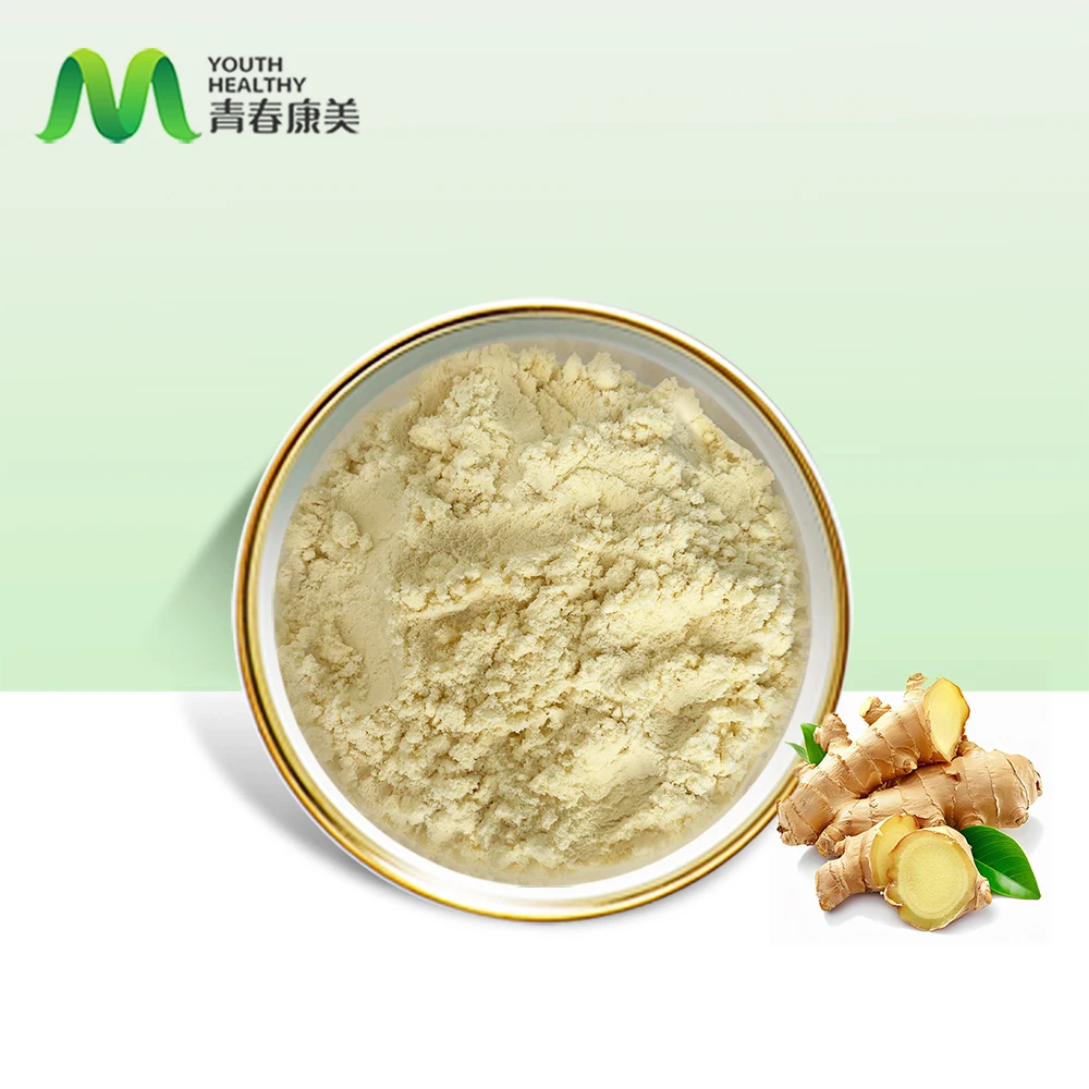 Manufacturer Supply Dry Ginger Powder