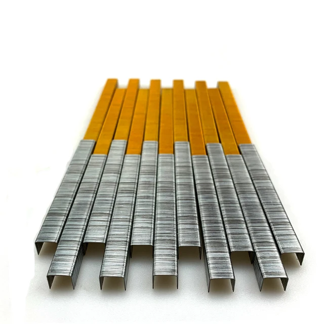 Customized Q195 Iron 10F Series U Type Fasteners Galvanized Wire Nail Decoration Staple Pins For Staple Gun
