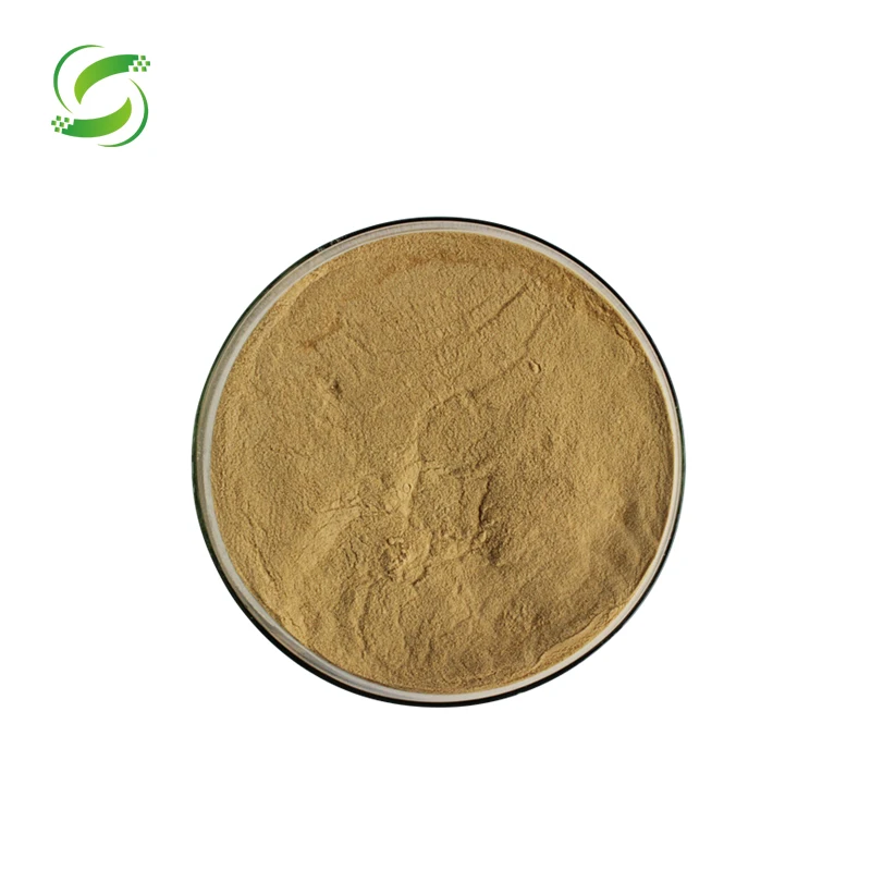 Ginseng Root Extract Powder ISO Top Grade Natural Korean Red Ginseng Powder, Red Food Grade HPLC Herbal Extract Leaf 10g XASH-62