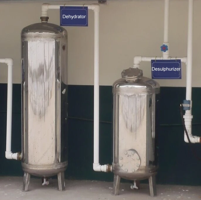 Teenwin 200m3/d biogas flow integrated biogas scrubber with gas compressor