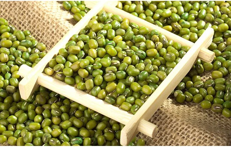 Китай оптовая продажа сушеные зеленые бобы мунг