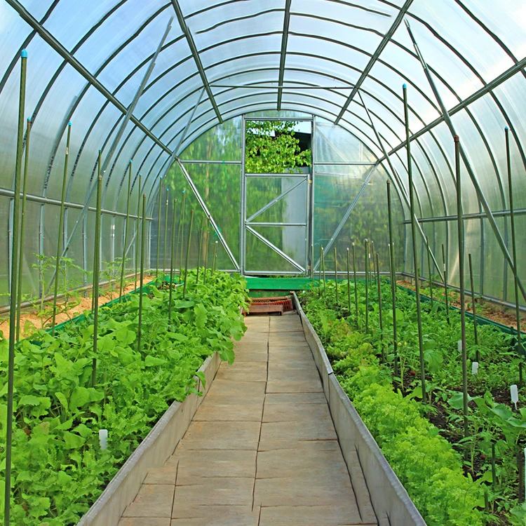Single-Span Green House Structure Agricultural Steel Pipe Greenhouse Plastic Film Poly Tunnel for Sale