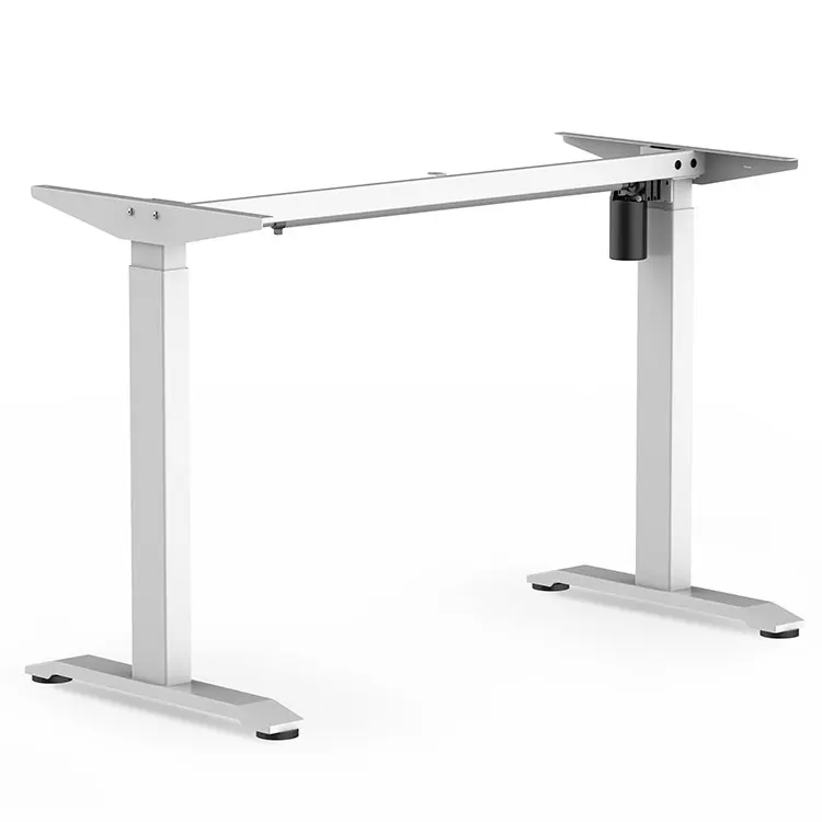 Ergonomics Professional Electric Lift Office Elevating Stand Up Desk Adjustable Height Bureau Debout