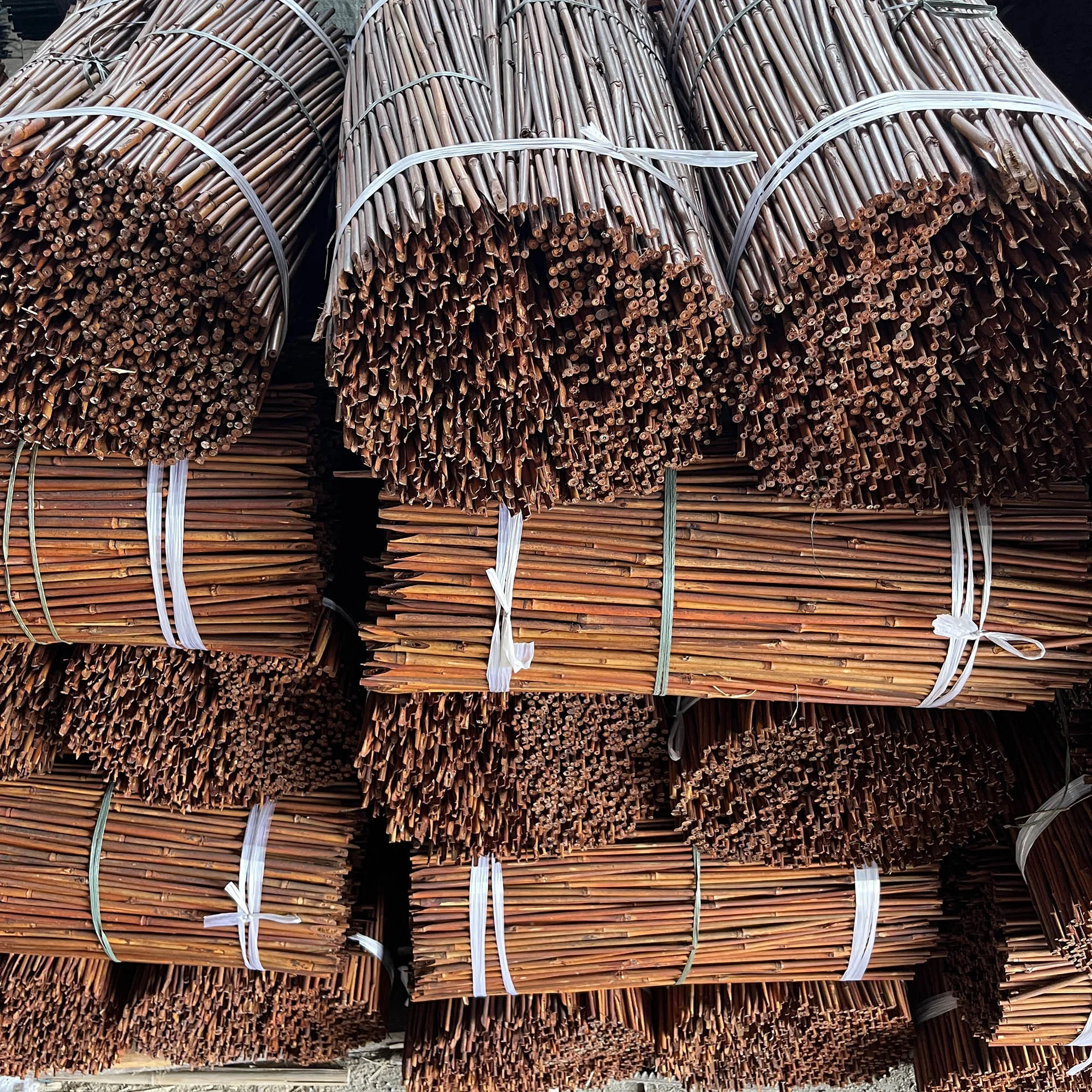 Eco-Friendly Color Dyed Tonkin Bamboo Raw Materials Stakes for Orchid