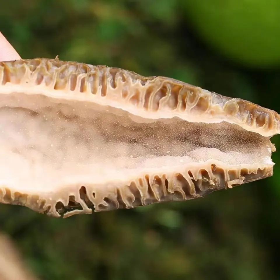 Morel mushroom and dry morchella in fungus  shipped directly from the factory