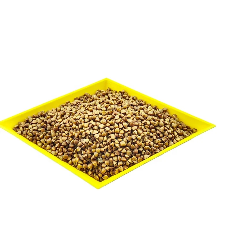 Китай оптовая продажа Высококачественная гречневая Мука/гречиха без глютена