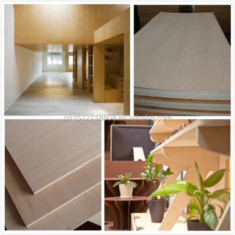 bintangor plywood pine/poplar/birch/okume faced eucalyptus plywood sheet china manufacture