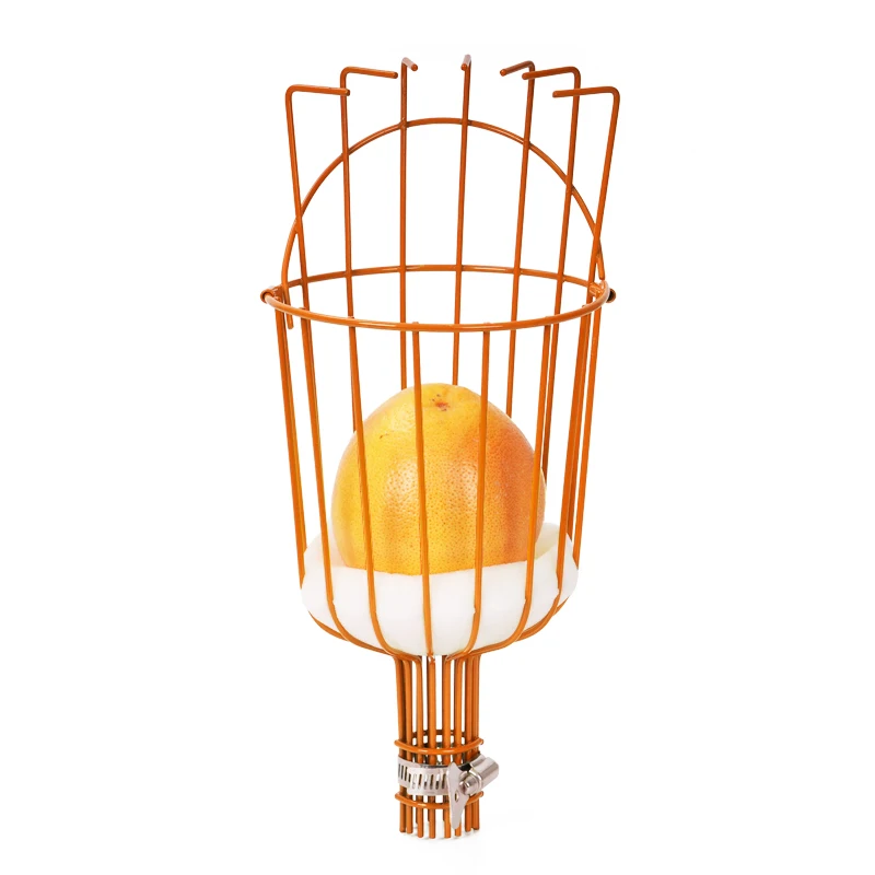 Stainless Steel Apples Mango Pear Orange Avocados Picking cherry metal telescopes fruit picker tool