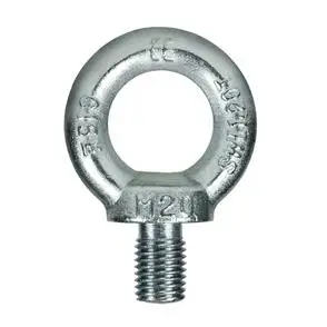 Hot-DIP Galvanized Forged Steel Eyenut  Galvanized Thimble Eye Nut for Linking Pole Line Hardware