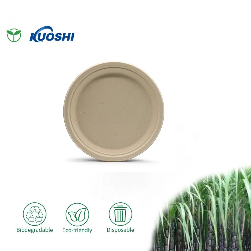 Custom 9 Inches Greaseproof and Microwave Safe Eco Friendly Bagasse Disposable Bio Degradable Plates