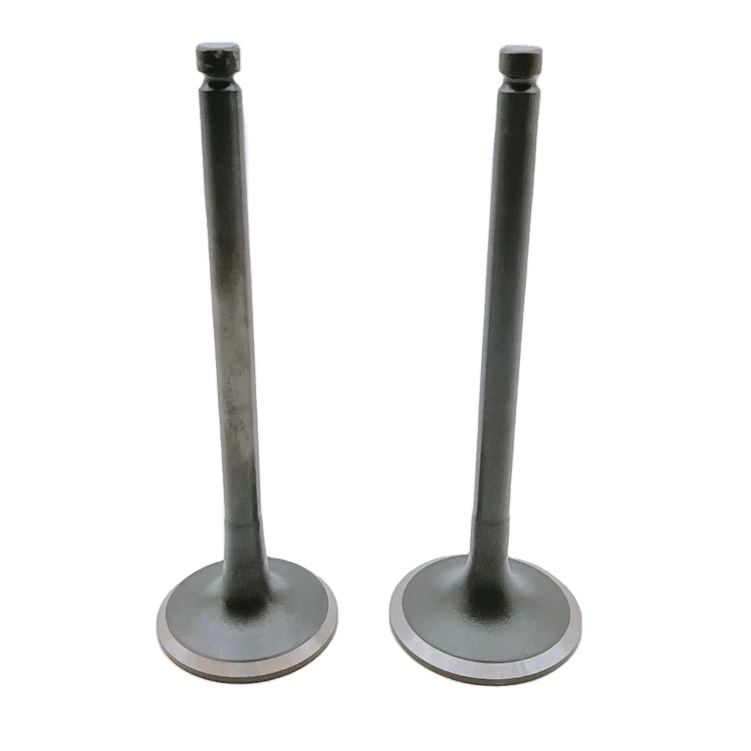 OEM Standard Size Wholesale Price Customize 3RZ Intake Exhaust for Toyota Engine Valve