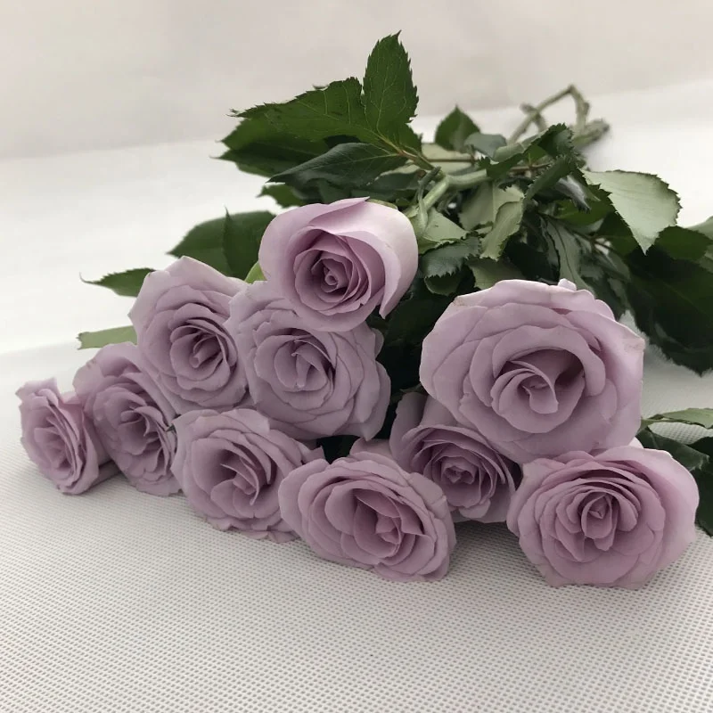 
Hot Selling Artificial Multiple Styles Blue Fresh cut Roses flowers For Wedding Party Club Ornament 