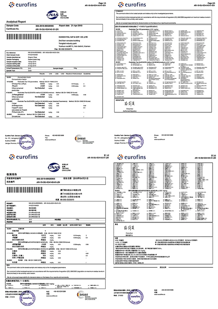 paste-pic-dp_uuid_4kkqv