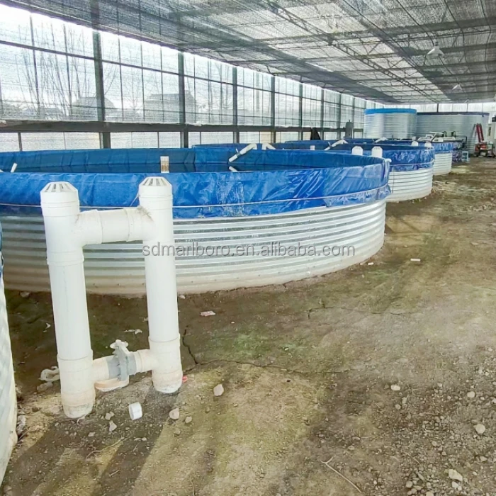 Customized Outdoor Tilapia Fish Farming Bbreeding System Other Aquaculture Equipment Ssupplies