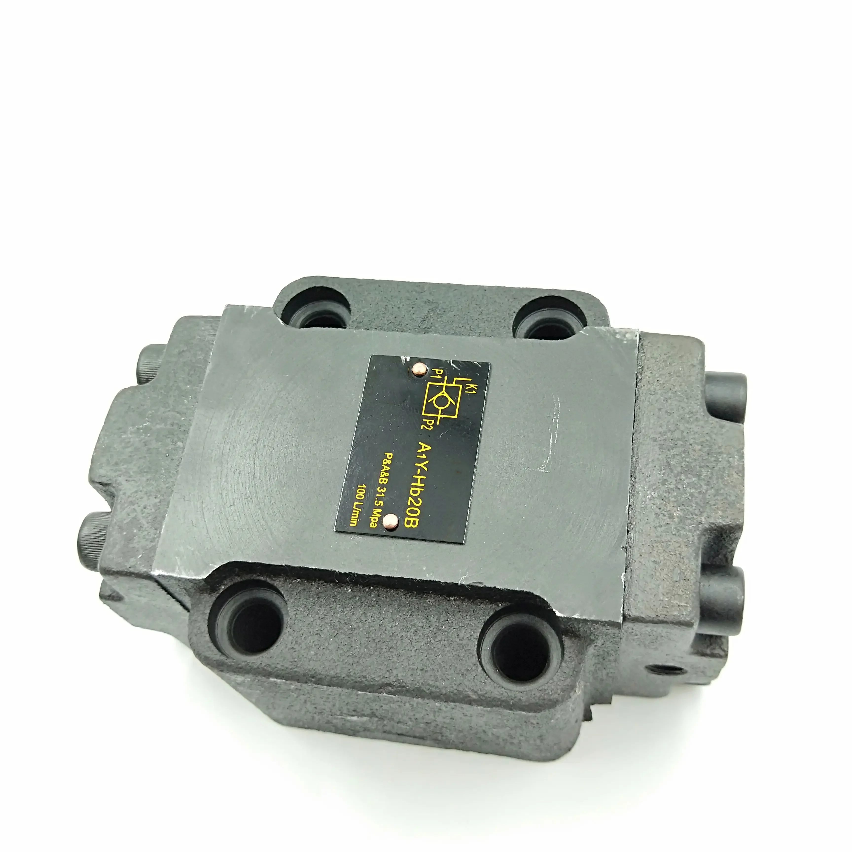 Good Quality Hydraulic Valves A1Y Series Hydraulic lock valve A1Y-HA20B A1Y-HB20B A1Y-HB20BY2-HD1