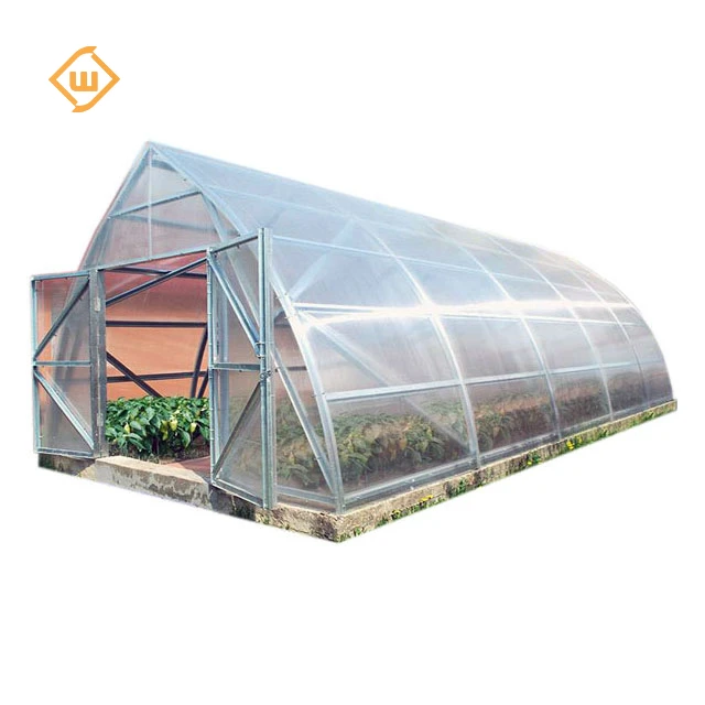 Agricultural Single Span Plastic Tunnel Greenhouse
