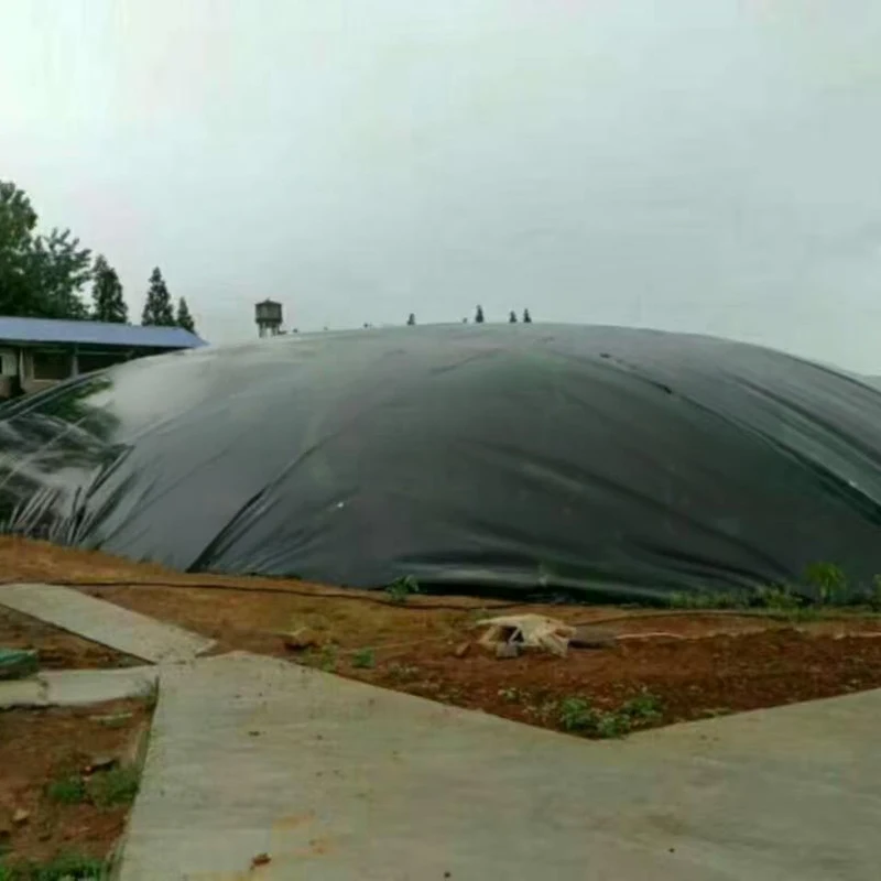 Top Quality OEM Factory Low Price Promotional Geomembrane Per Meter square