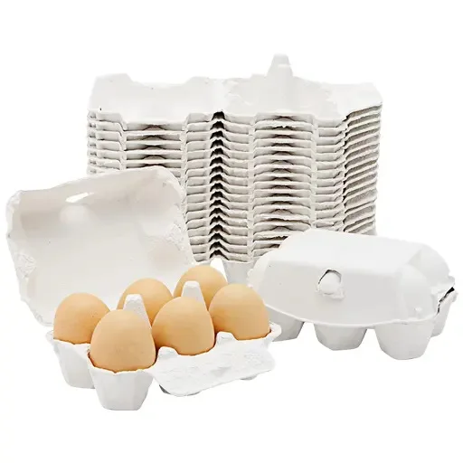 DS3559  6 Count Egg Storage Containers for Family Farm Market Fridge White Pulp Egg Holder Half Dozen Paper Egg Carton