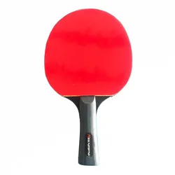table tennis balls