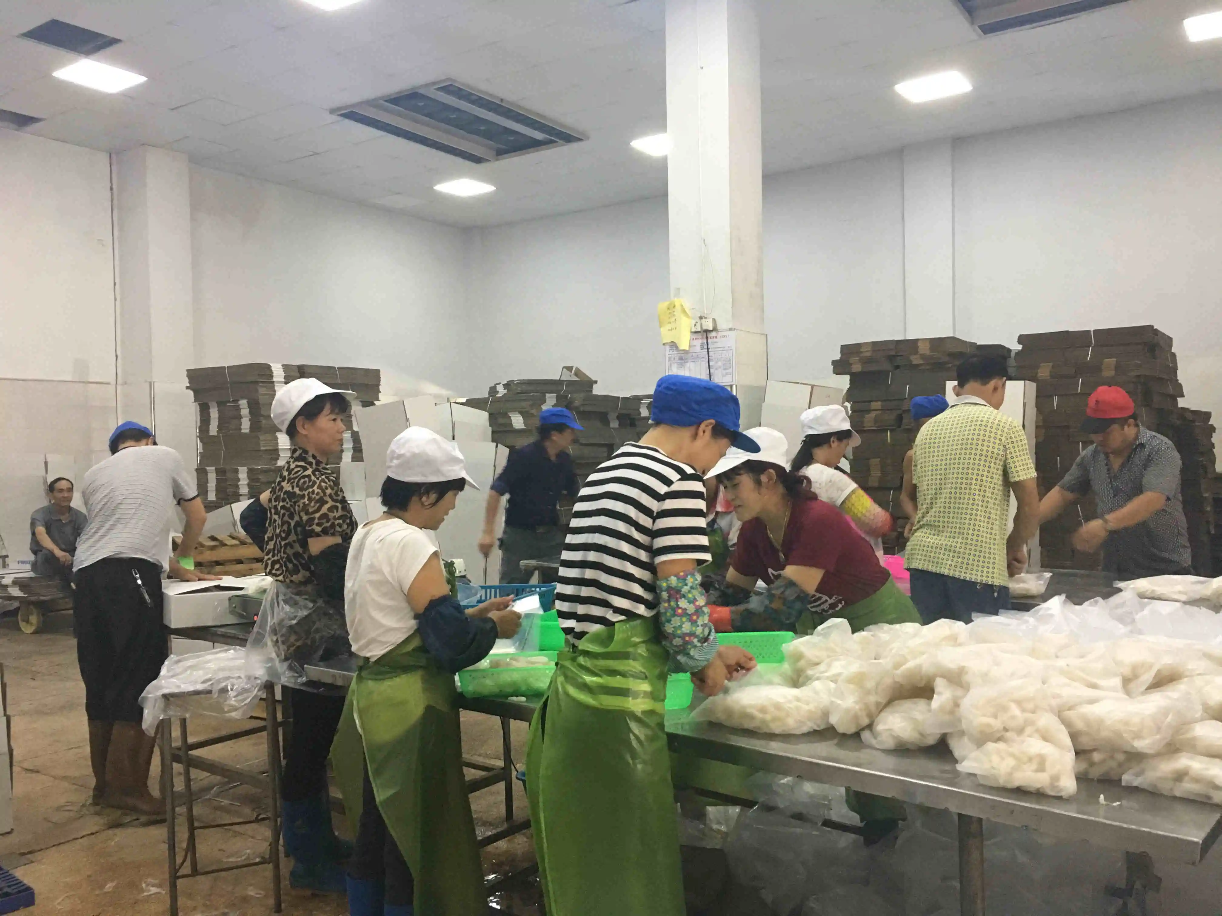 Factory Direct  Frozen Black squid Ring   Skinless