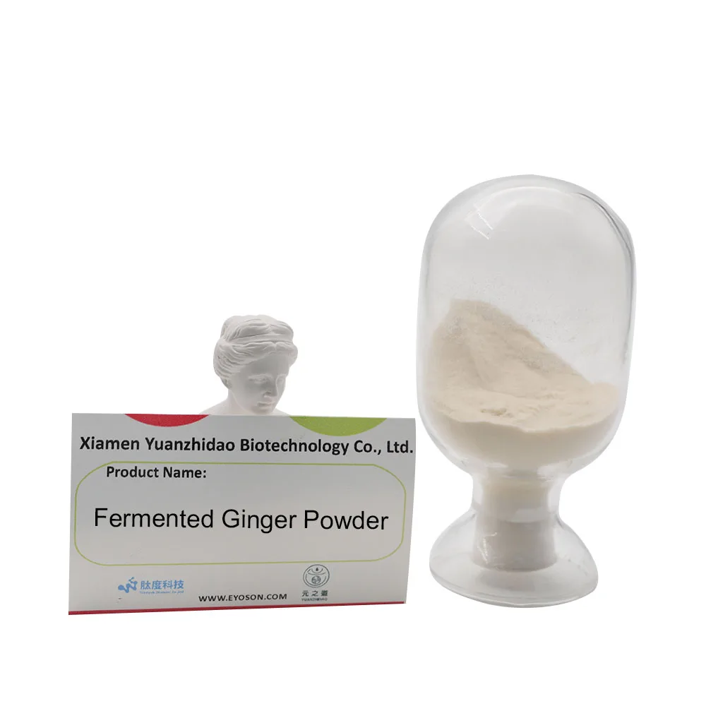 
Chinese factory raw materials Fermented Ginger Powder 