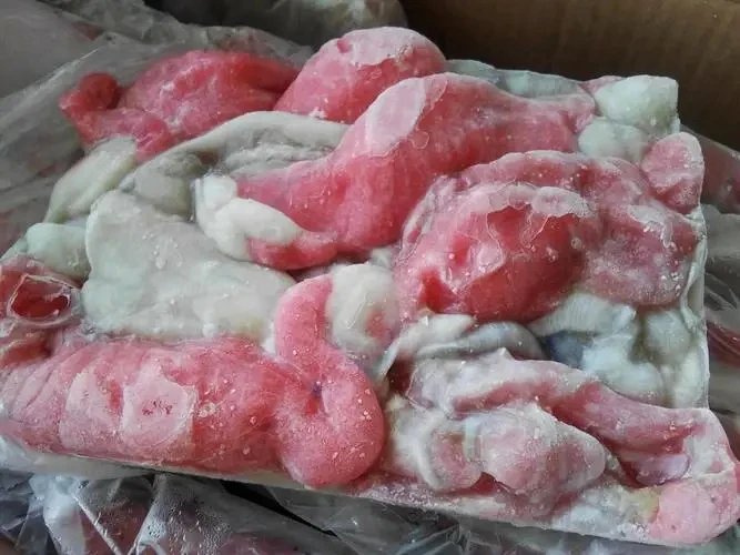 Good Quality Frozen Squid Eggs Frozen Indian Ocean Squid Roe