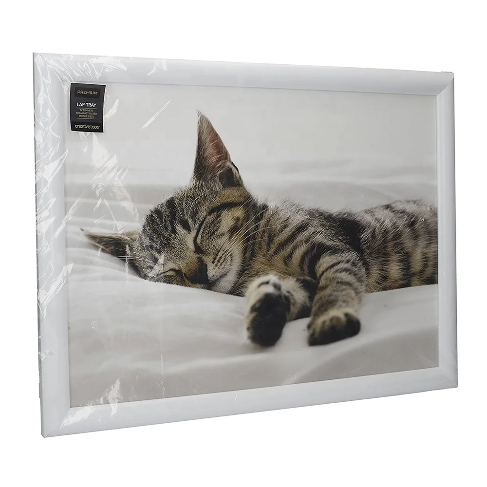 Wholesale Craft Laptop Computer Cushioned Table Kids Lap Tray Bean Bag With Padding Wood Lap Tray