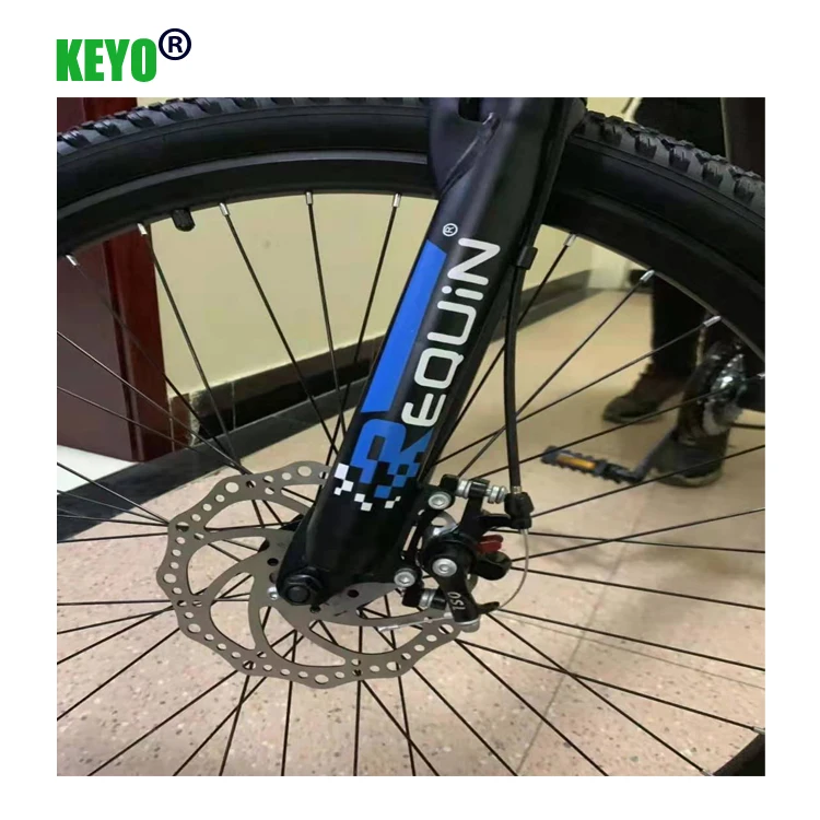 2020 New Model  High quality wholesale 21 speed customized cheap adult mountain bike bicycle