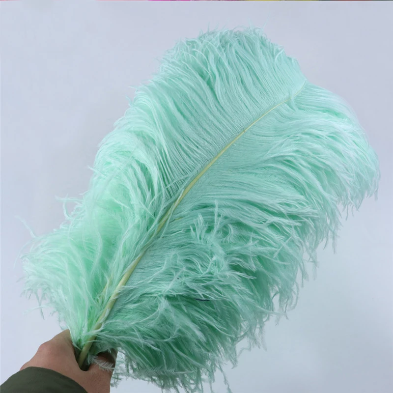 Cheap Price Nature Dyed Large Black Ostrich Feathers Ostrich