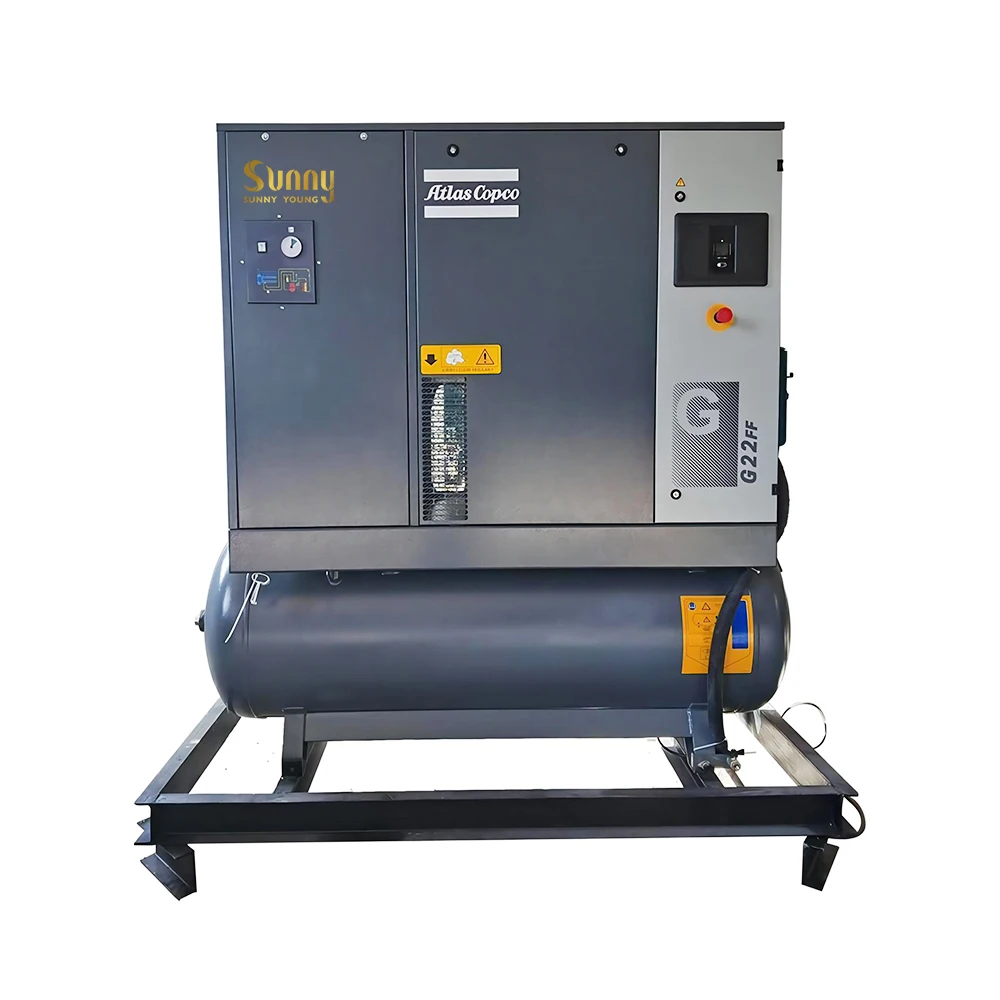 New 1Nm3/hr-100Nm3/hr PSA Oxygen Gas Plant with Pump Motor and PLC Core Components for Manufacturing Farming Hotel Industries