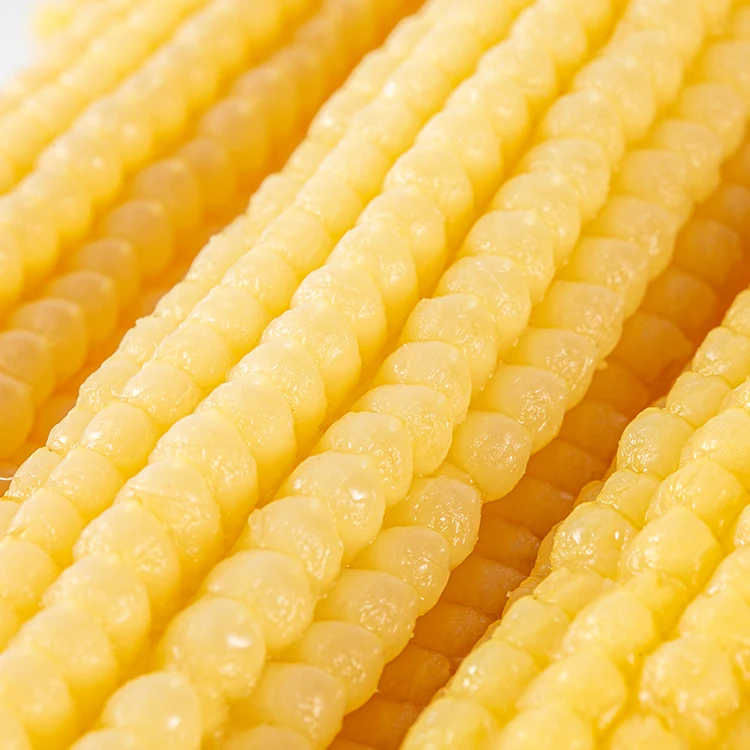 New season canned chinese yellow baby corn in tin in brine  low price & high quality