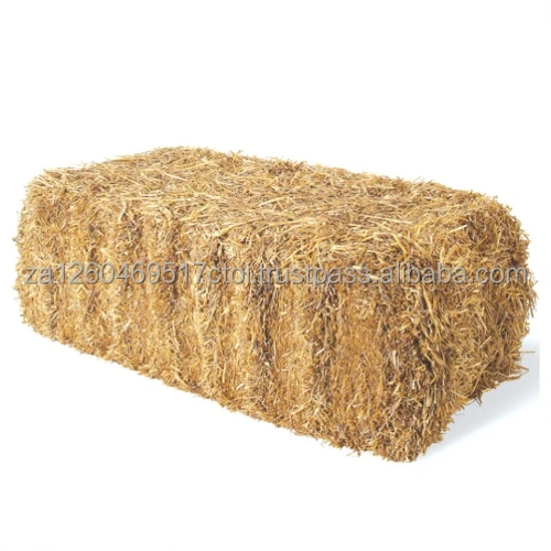 barley-straw-1.jpg