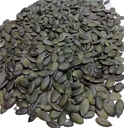 GWS pumpkin seeds and kernels grow without shell Natural health food popular Oil pressed pumpkin seeds