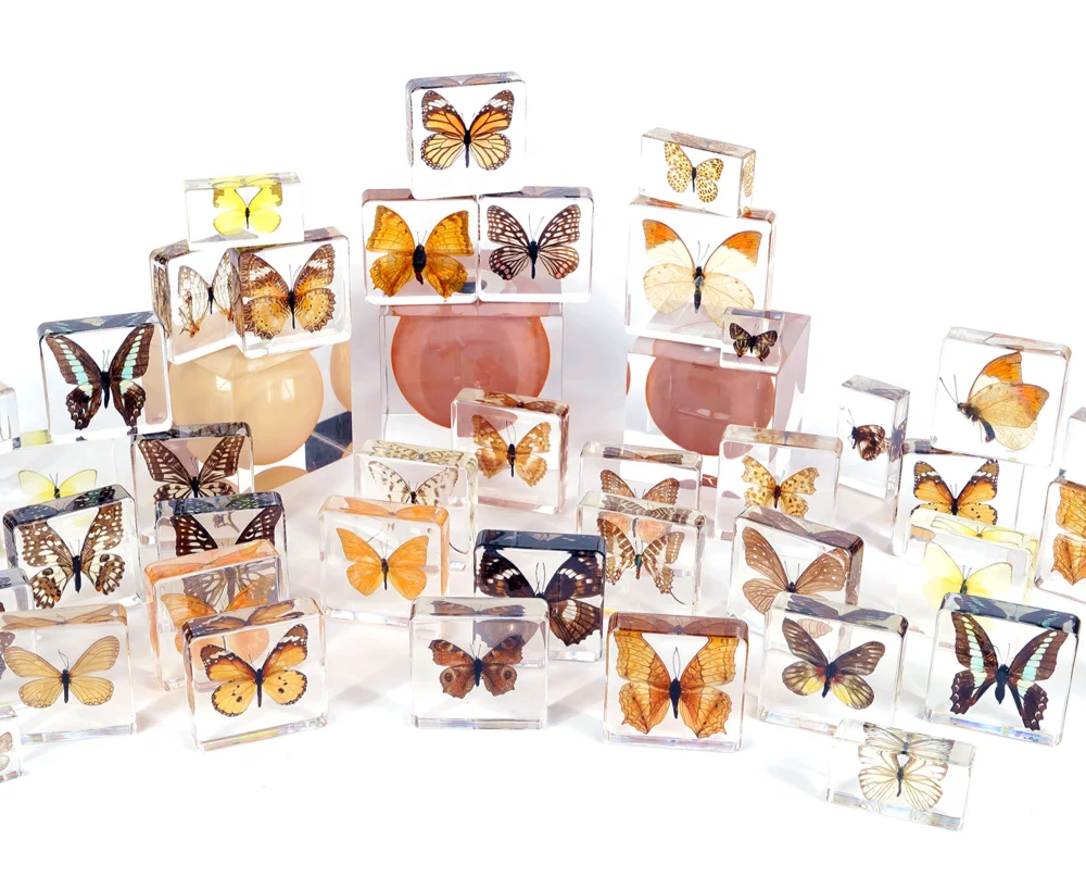 Factory Hot Sale Resin Crafts block Butterfly Real Insect Biological Specimen Animal Pattern Taxidermy Gift resin specimen