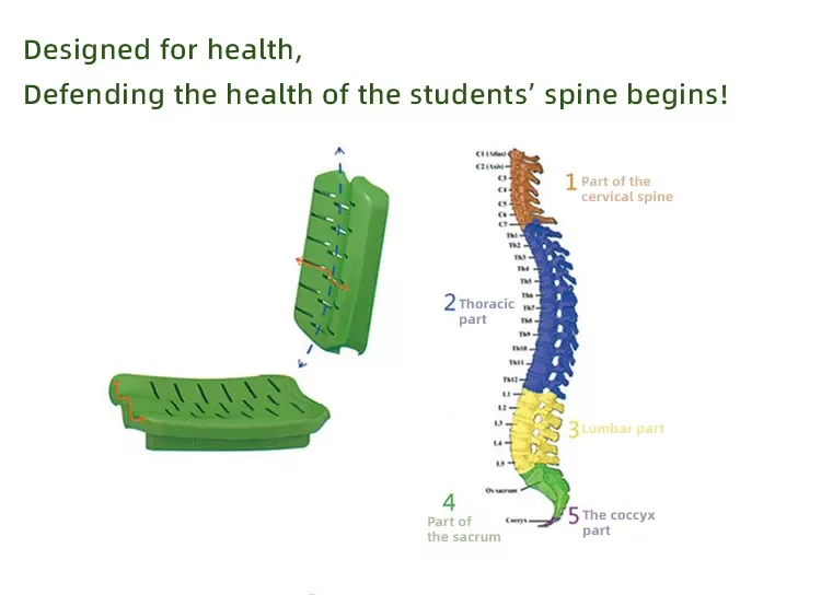 Classroom Furniture Student Single Desk And Table Chair, Study Table And Chair Set School Furniture