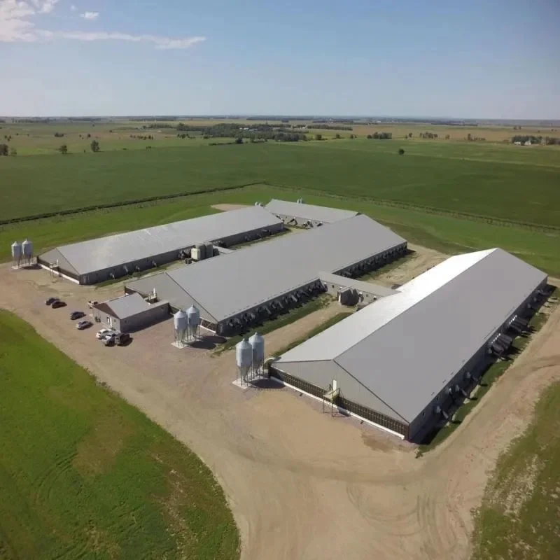 Light Steel Structure Building Material Steel Sheep Farm House Barn