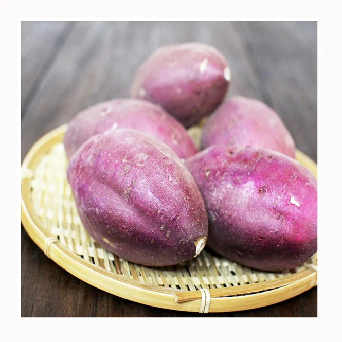 Wholesale high quality vegetables cooking natural Japanese sweet potato