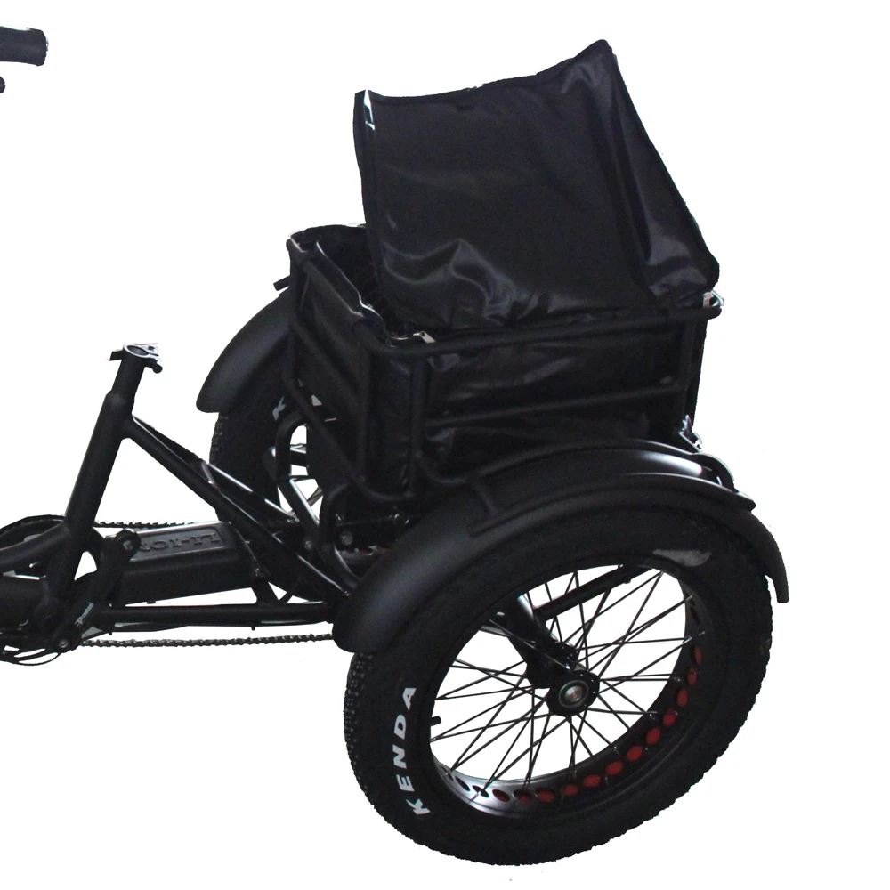 Elderly Electric vehicle tricycles 3 wheel electric electro-tricycle