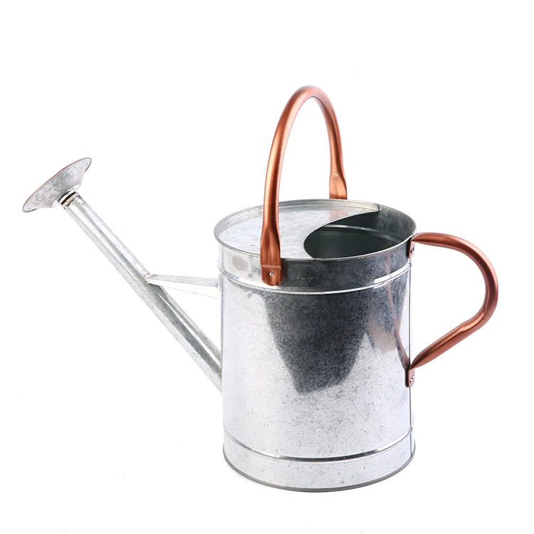 Wholesale outdoor children unique hanging plant garden tools metal watering can pot