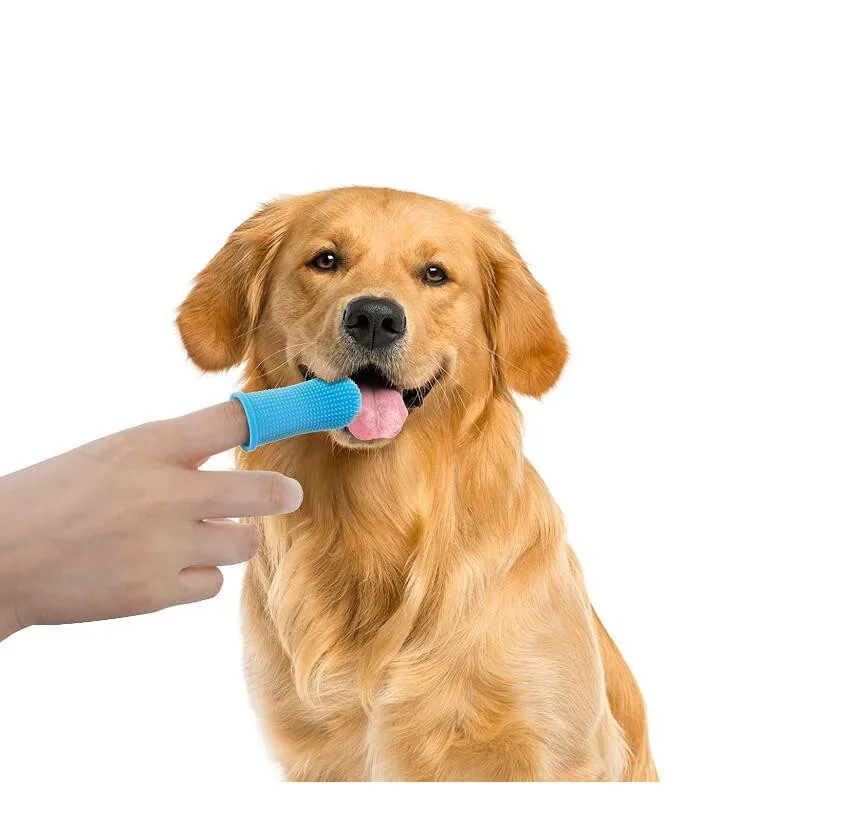 Dog Dental Care Perfect for Dogs and Cats Soft Finger Brushes Best Dog Toothbrush
