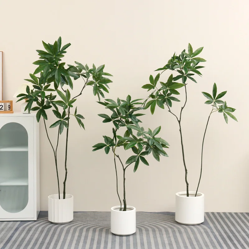 plants19