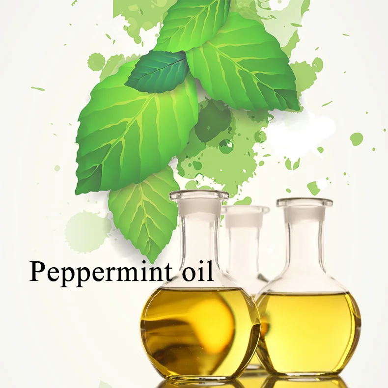 High Quality Fragrance Oil Peppermint Perfume Oil for Business China Supplier Aroma Oil Fragrance