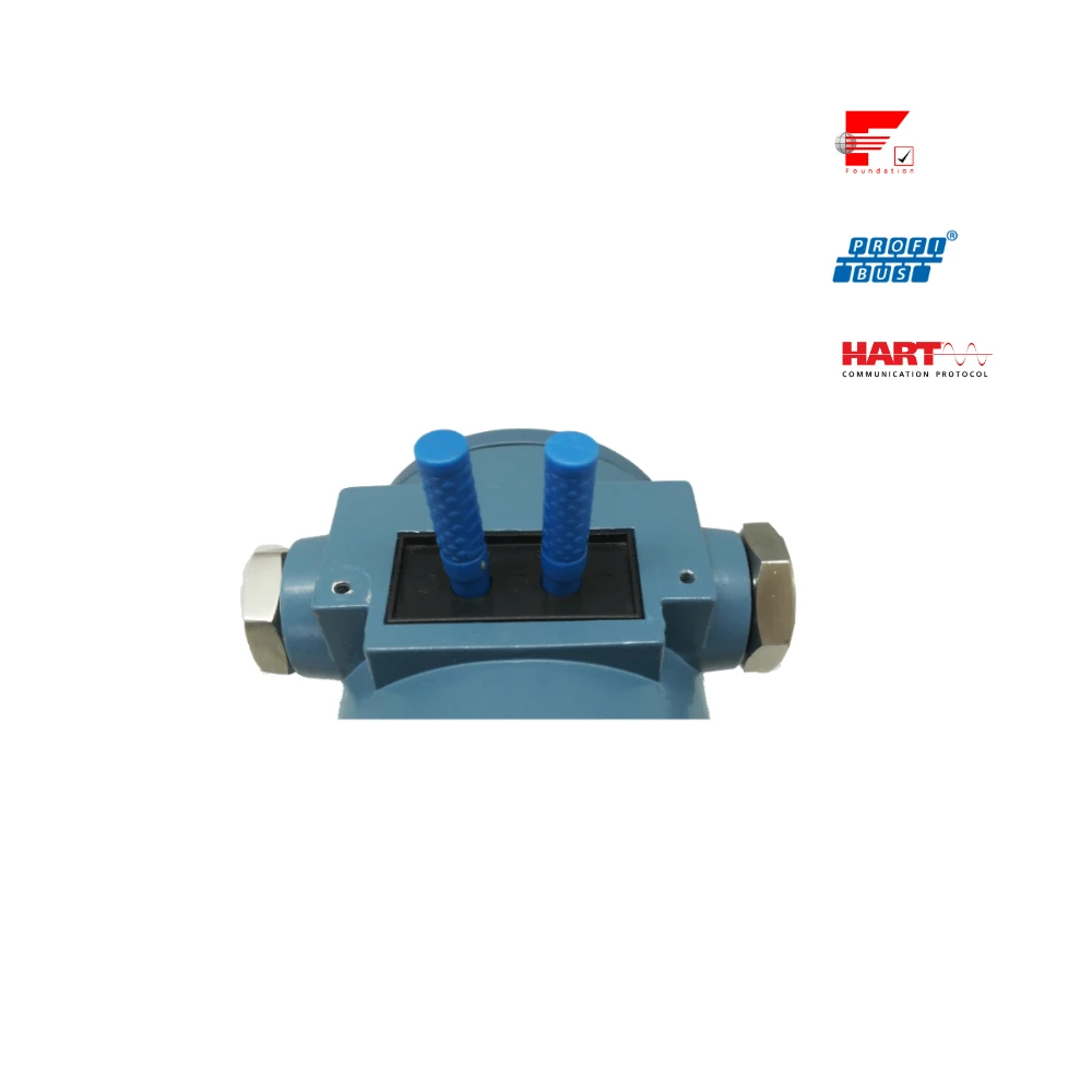 IP67 Explosion-proof FF Protocol Fieldbus Micro Differential Pressure Measuring Terminal