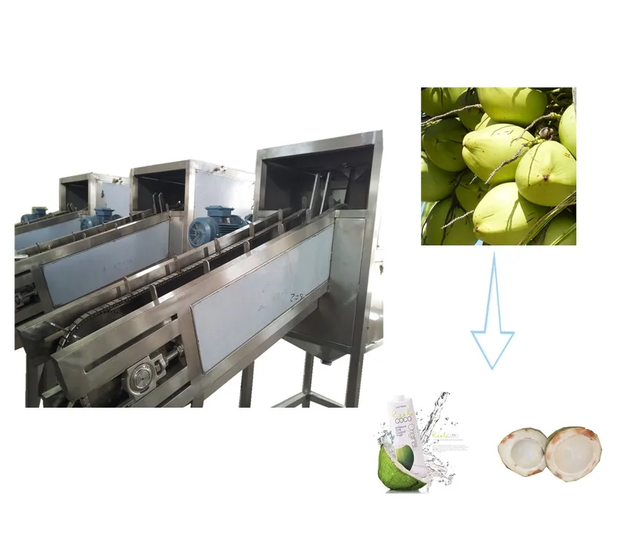 good price broccoli  coconut water cutting and vacuum extracting production line