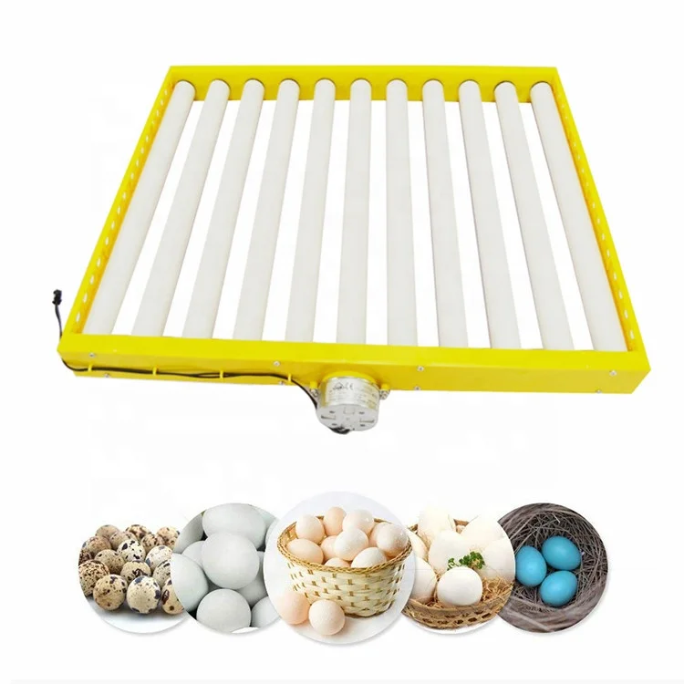 2021 Hot Sale Commercial Mini Eggs Incubator 60 Eggs Incubator with Egg Roller Tray