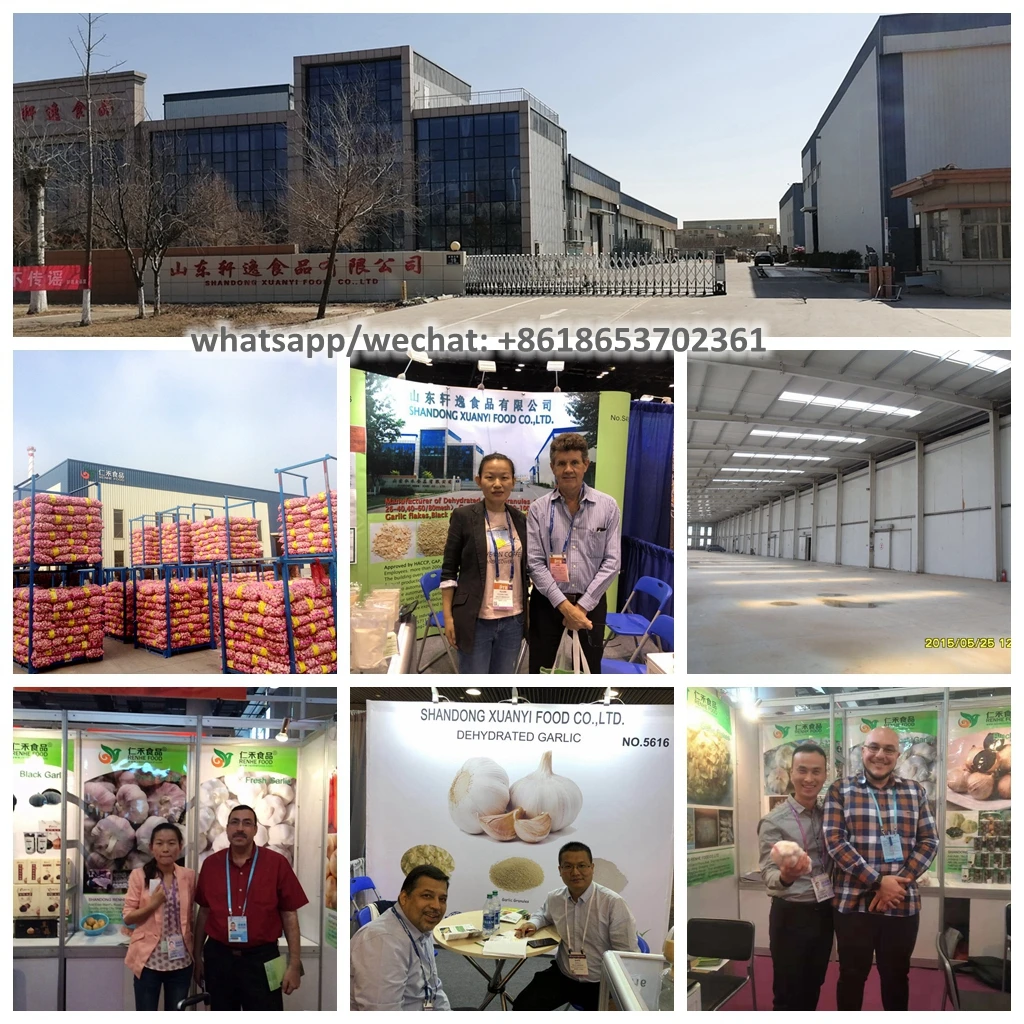 2022 New Crop A Grade Ajo Granulado China Dehydrated Garlic Granules