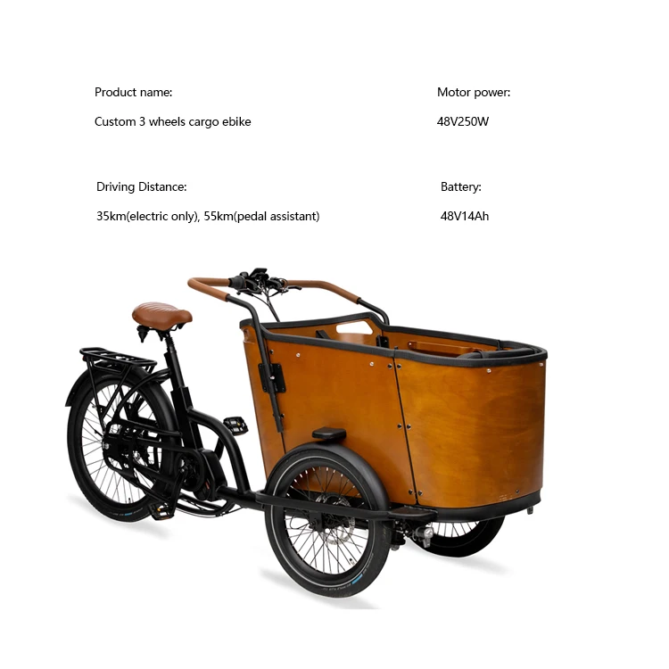 Promotional various durable using fat e cargo bike adult trike 3 wheel electric