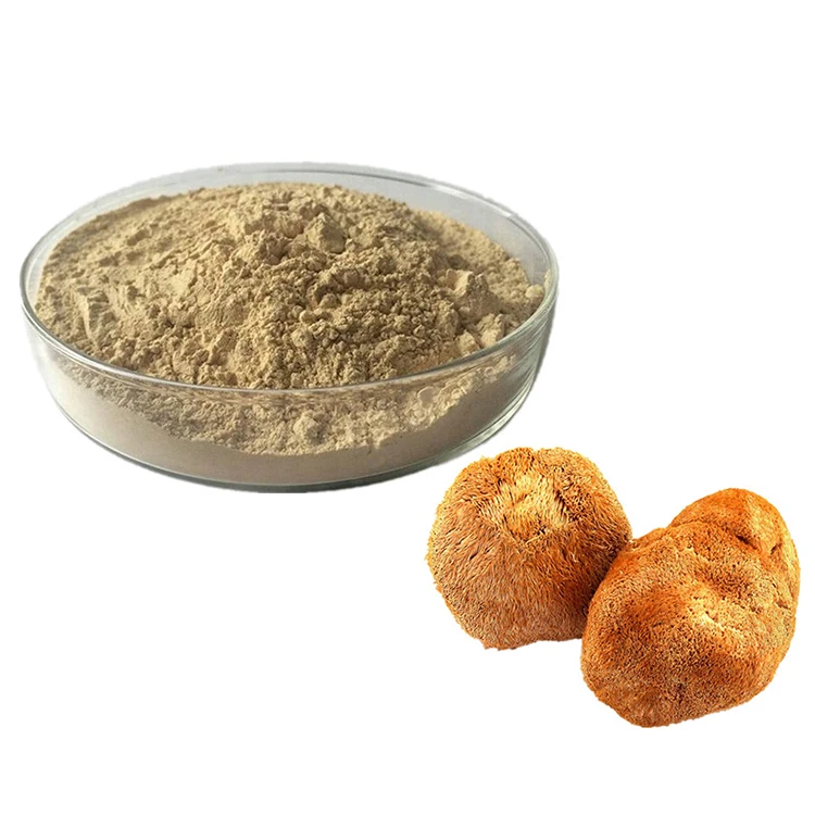 Lion Mane Mushroom Extract/Hericium Erinaceus Mushroom Powder /Lions Mane Mushroom Powder