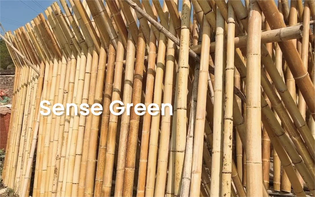 Moso оптовая продажа большие круглые бамбуковые столбы Натуральный Необработанный бамбук для строительства и украшения