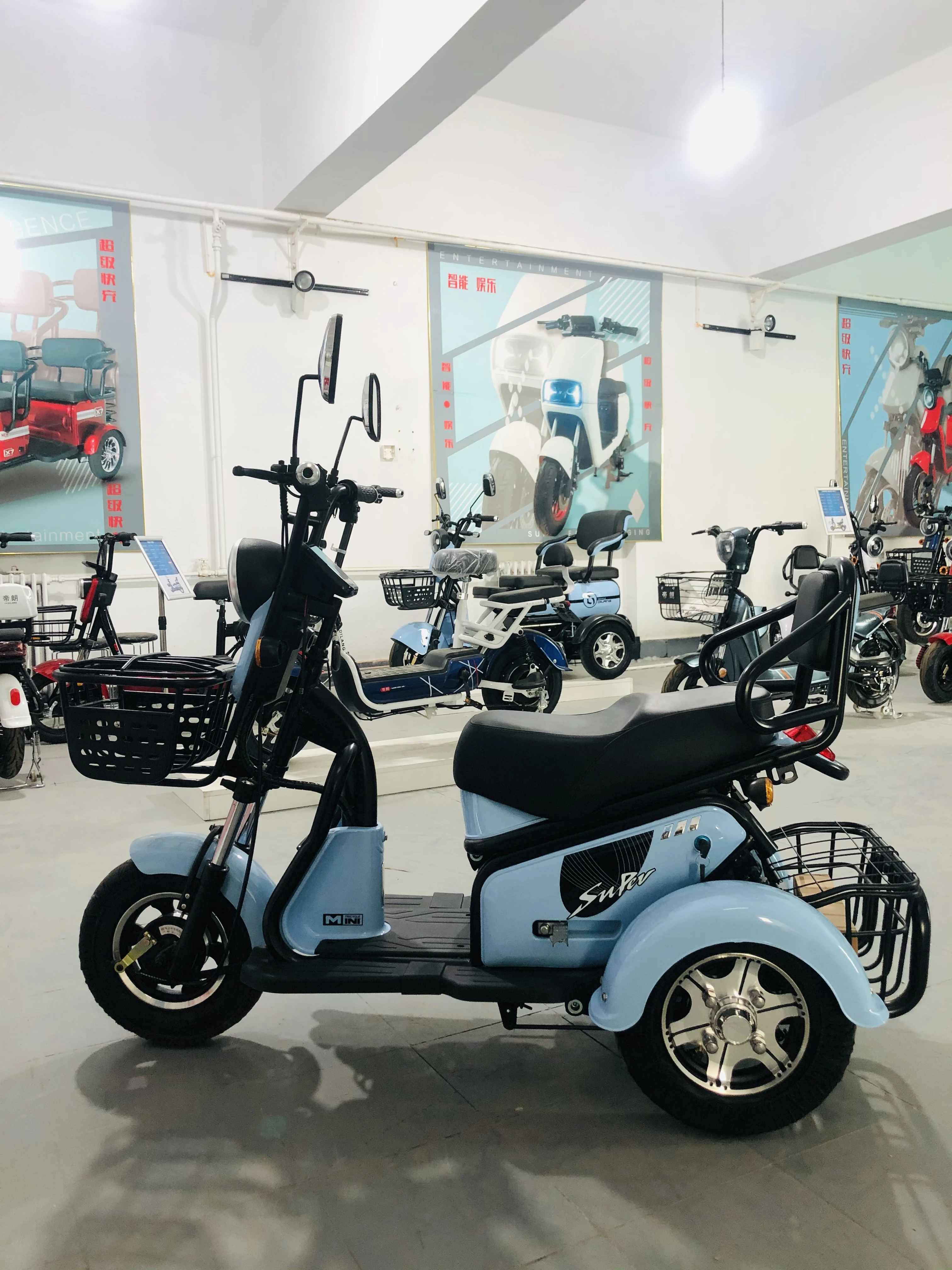 Small and exquisite city etrike electric tricycle for 2 people with 2 storage basket